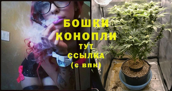 амф Новодвинск