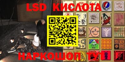 гашик Кандалакша