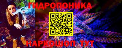 гашик Кандалакша