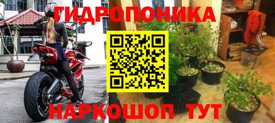 экстази Аргун