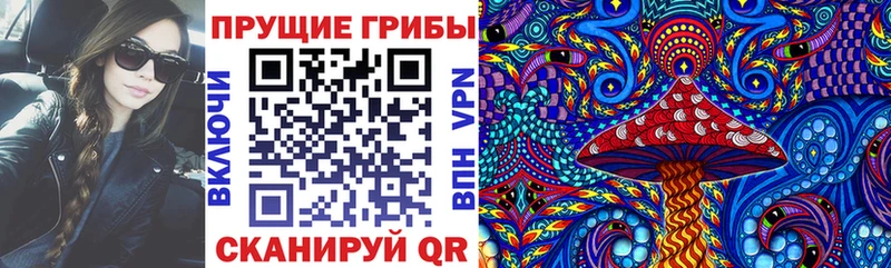 Псилоцибиновые грибы Magic Shrooms Ржев
