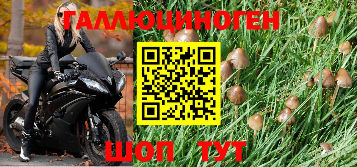 Псилоцибиновые грибы прущие грибы  Псилоцибиновые грибы мухоморы  Ржев 