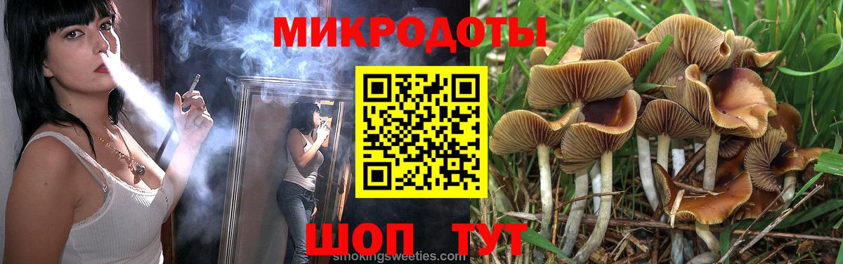 Псилоцибиновые грибы Psilocybine cubensis  Вход с VPN  Псилоцибиновые грибы Psilocybe  Ржев 